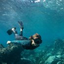 오르카수영 | 프리다이빙 슈트 l 오르카 만트라(Orca Mantra) 언박싱 및 풀장 사용 후기