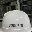 유한회사 다일