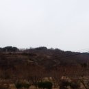 미천면-1 이미지