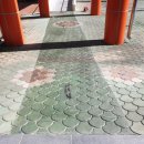 정촌초등학교 이미지