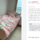 앨리스코티지 이미지