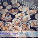 바다와푸른솔 이미지