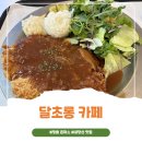 5908 | 정읍 내장산 맛집 탐방! 돈까스가 예술인 '달초롱카페' 찐 후기