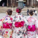 진성행정사사무소 이미지