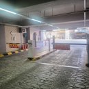 녹차골 금강휴게소 화장실 | 부산 명지 백억커피 명지국제신도시점 별님이와 함께 방문 후기