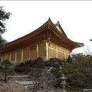 수국사 이미지