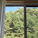 서종별곡 이미지