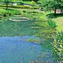 사람,산,물이 만나는 길; 대청호 500리길 4구간; 호반 낭만길 탐방 이미지