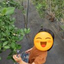 기찬정비 이미지