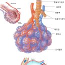 바람의숨결