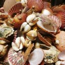 조게찜터 이미지