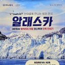 하나에이스투어 이미지