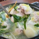 바오닭한마리