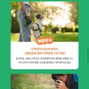 펫츠런 이미지