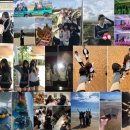 다솔마루 | 나이 반납할게요 12월 환불해주세요