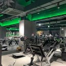 버핏그라운드 삼성 이미지