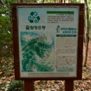 전남답사여행,강진다산초당,백련사,사의재,영랑생가,가우도출렁다리(2021.11.09)