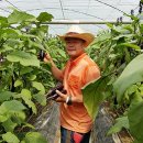 육남매농장 이미지