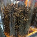 광인당한의원 | 약재 탐방 후기 2탄