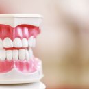 굿보스톤치과의원 이미지