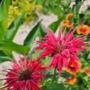 동송농장 이미지