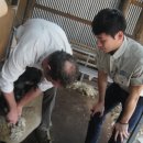 현종농장 이미지