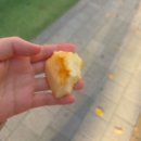 (목) 써니김밥 | 막내일 때를 귀하게 알라