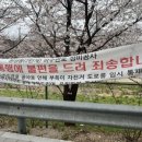 GS25 천안원성천점 네이버블로그