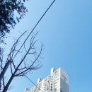 강남한방공인중개사사무소 이미지