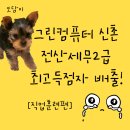 🏆 그린컴퓨터 신촌캠퍼스 – 전산세무2급 만점자 배출 성공 스토리!