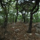 웅담3리 이미지