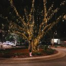 남덕기농장 이미지