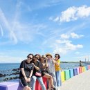 지인여행사 | 제주도 여행사 추천 기사포함 편리한 제주 콜밴 이용 후기