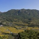 산청 - 순천시 율촌로 159 | 산청