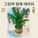 어른을 위한 그림책 테라피 -마음에게 안녕을- | 인천 도서관 그림책 원예 테라피 수업 '스파티필름 반려 식물 만들기'