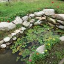 달무리펜션 이미지