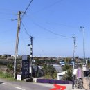 샤인히얼60 | 제주 애월 아이랑 가볼 만한 곳 이색애월알레스팜 내돈내산체험 후기 (귤 따기·귤 주스·액션페인팅)