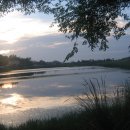 영산대학교 이미지