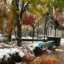 대치서울메디컬 이미지