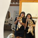 우연 | 전주 애견동반 숙소 추천｜대형견 가능한 완주 한옥 우연 후기