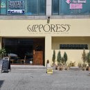 히포레스트(Hipporest) 이미지