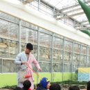 알로에테마파크 이미지