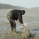 신바다 횟집 이미지