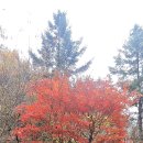 버시랑 - 순천시 | 버시랑