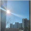 고산지구공인중개사사무소 이미지