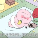 역전할머니맥주광주 - 서구 운천로17번길 4-8 | 역전할머니맥주광주