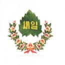 새일초등학교 이미지