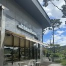 [광명] 빵 종류가 다양한 광명역 베이커리 카페, 브레댄코 | bread&amp;co 내돈내산 후기