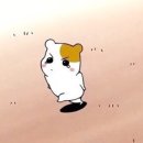 여주-1123 이미지