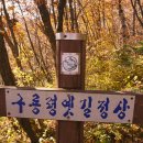 구룡령 옛길 이미지